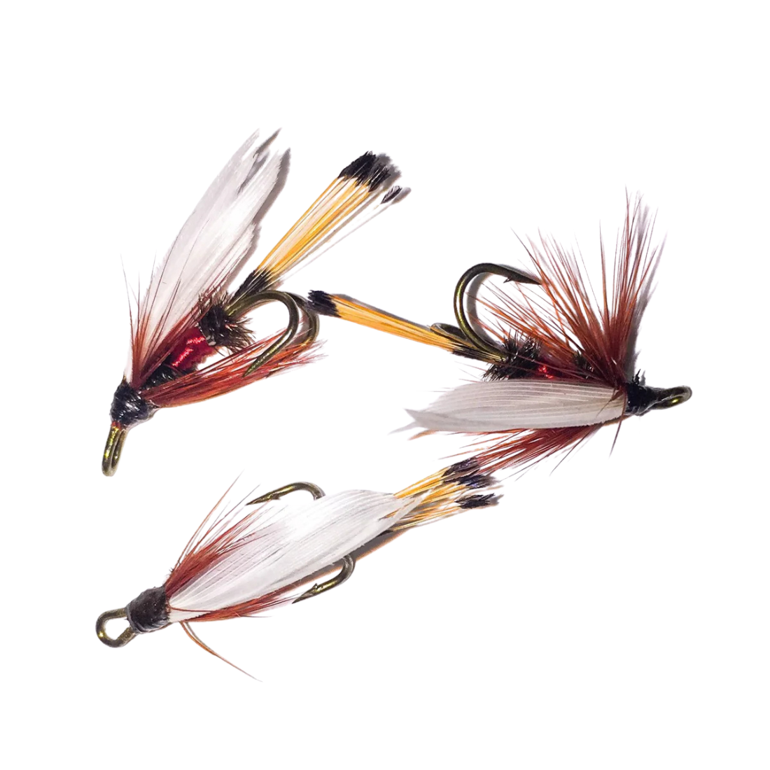 Royal Coachman double hook #12