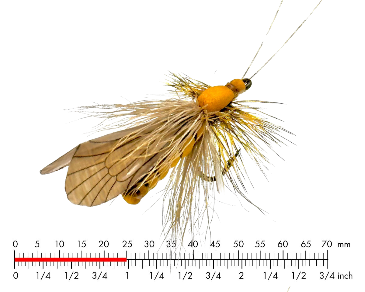 J:son Caddis Adult 1 Brown #12