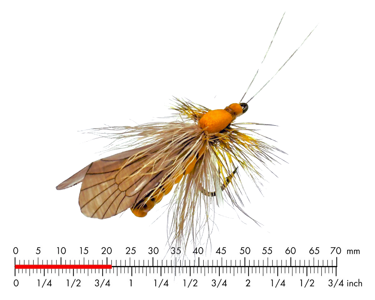 J:son Caddis Adult 2 Brown #14