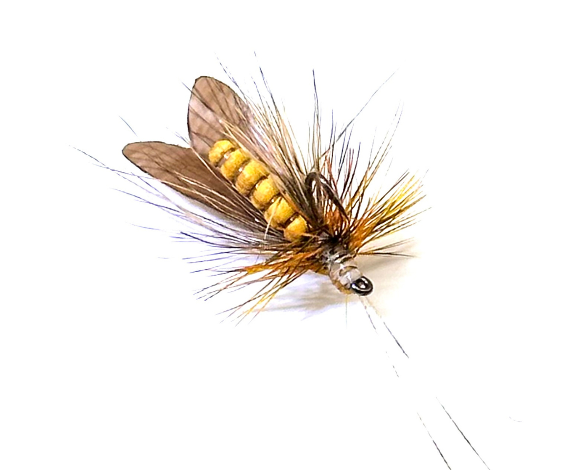 J:son Caddis Adult 1 Brown #12