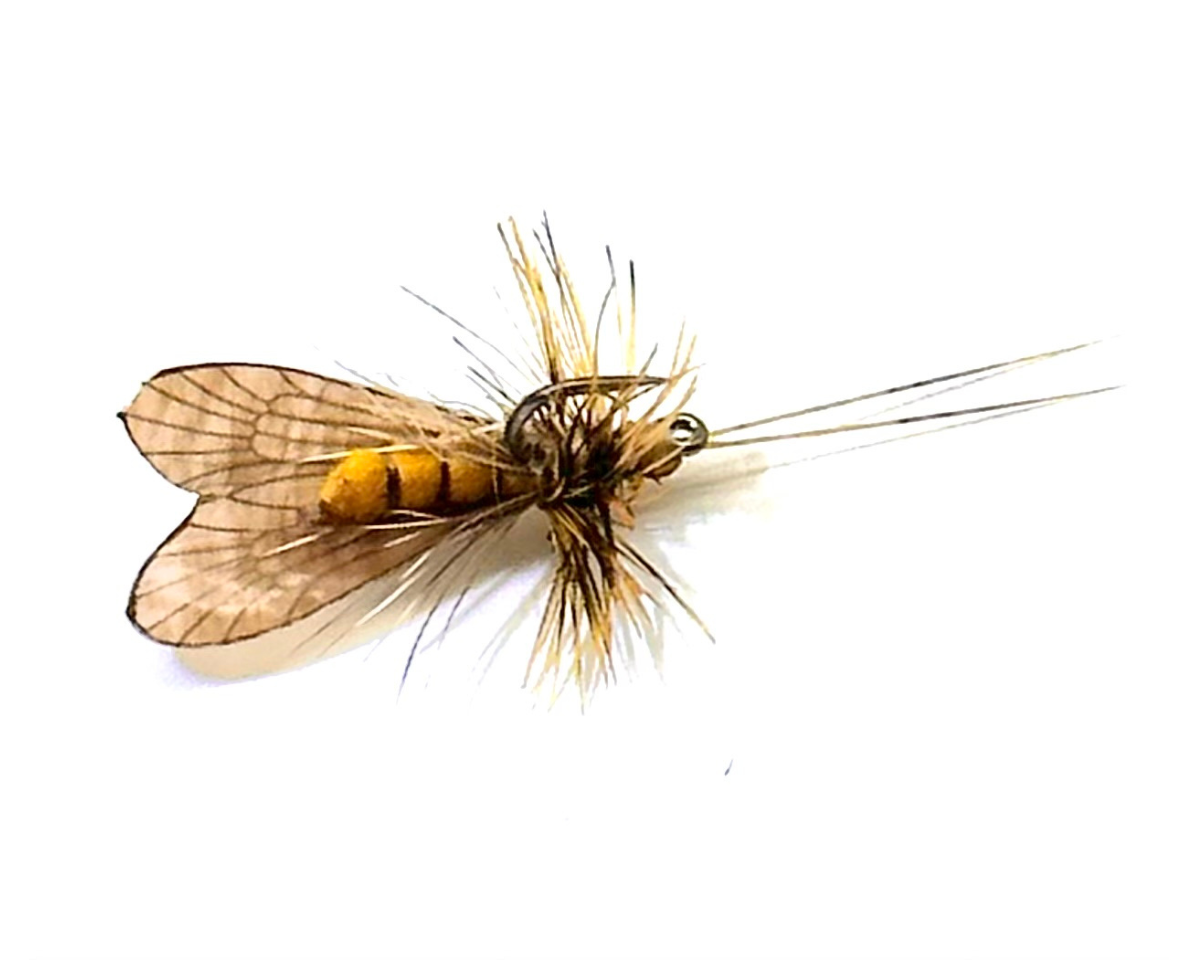 J:son Caddis Adult 4 Brown #20