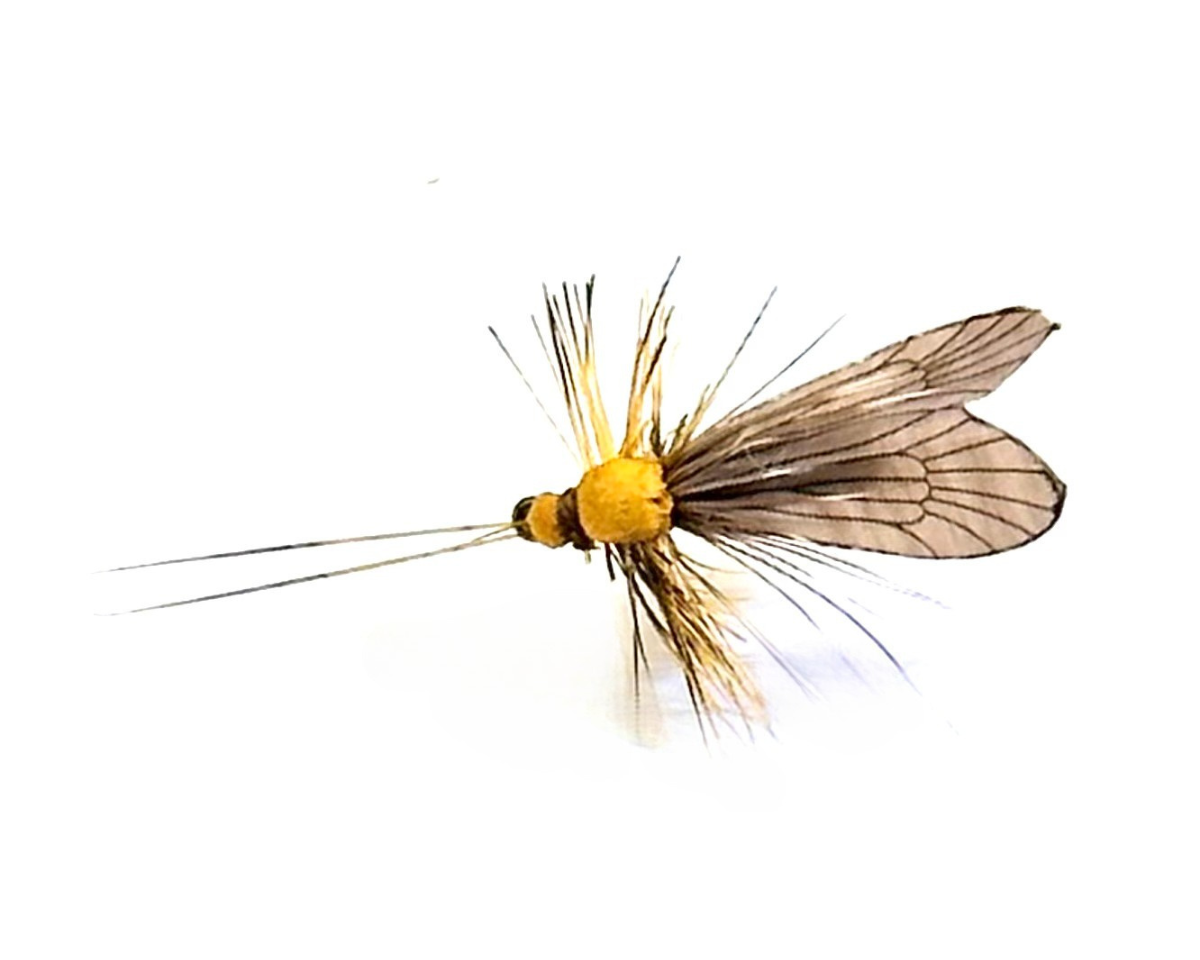 J:son Caddis Adult 2 Brown #14