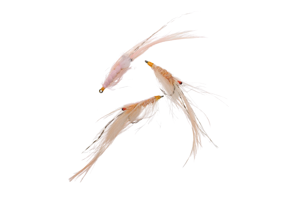 Pattegris Shrimp