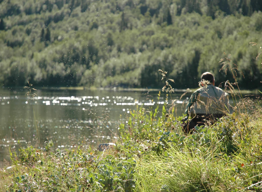J:son Realistic – The Summer Selection. Dryflies (3 of each)