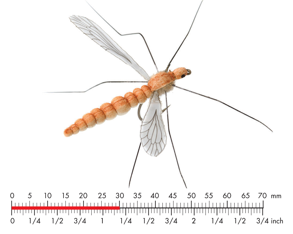 Cranefly Saffron Gold