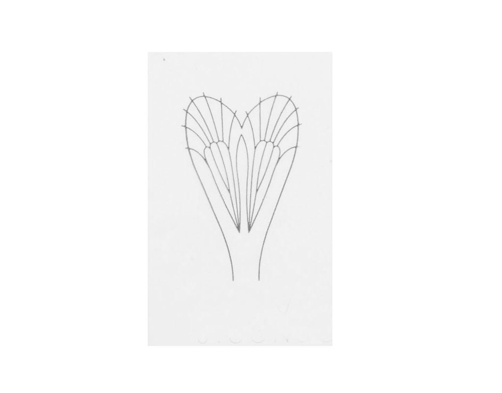 Realistiskt Vingmaterial C3