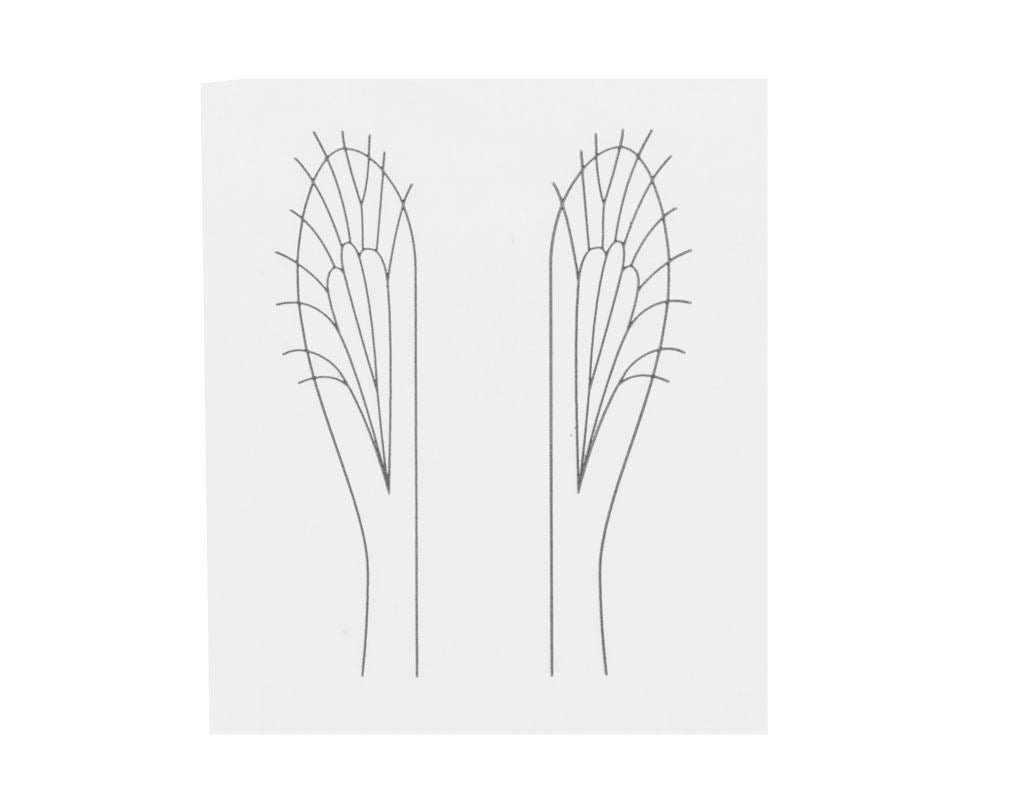 Realistiskt Vingmaterial G2