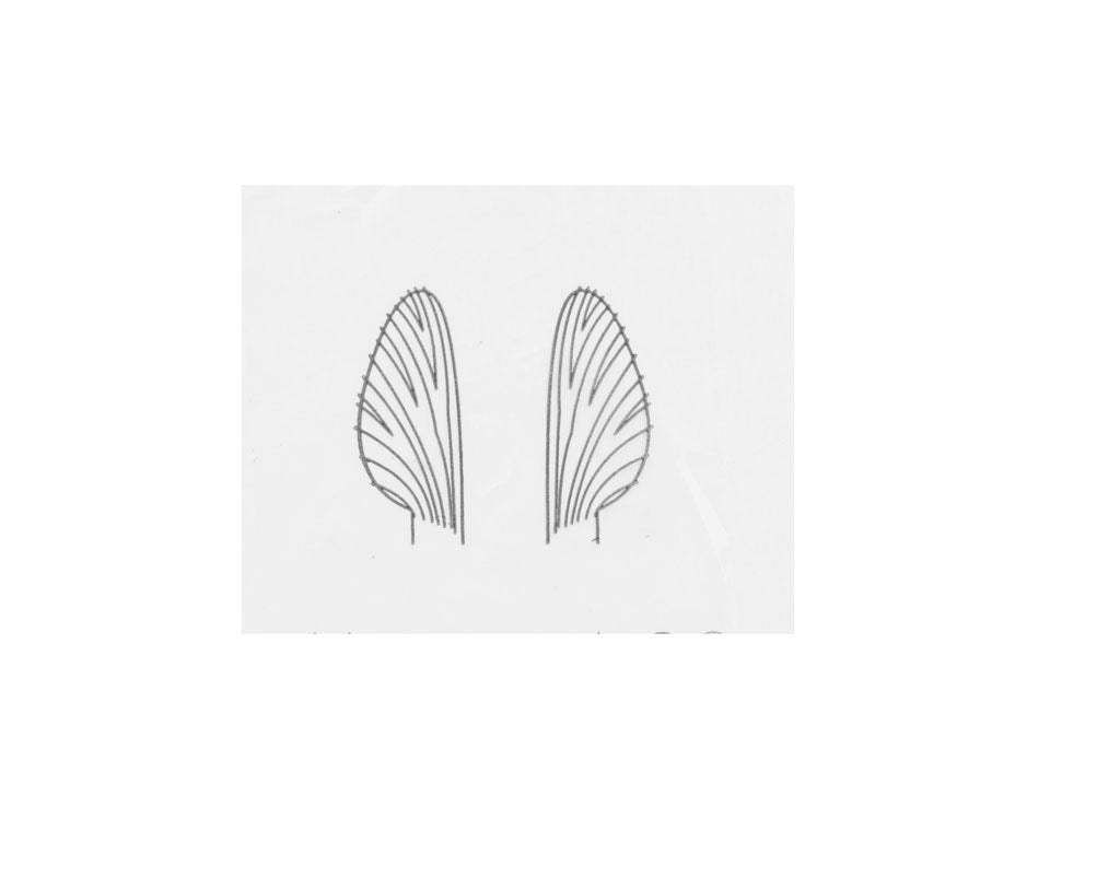 Realistiskt Vingmaterial M4