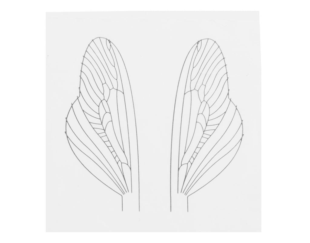 Realistiskt Vingmaterial U1