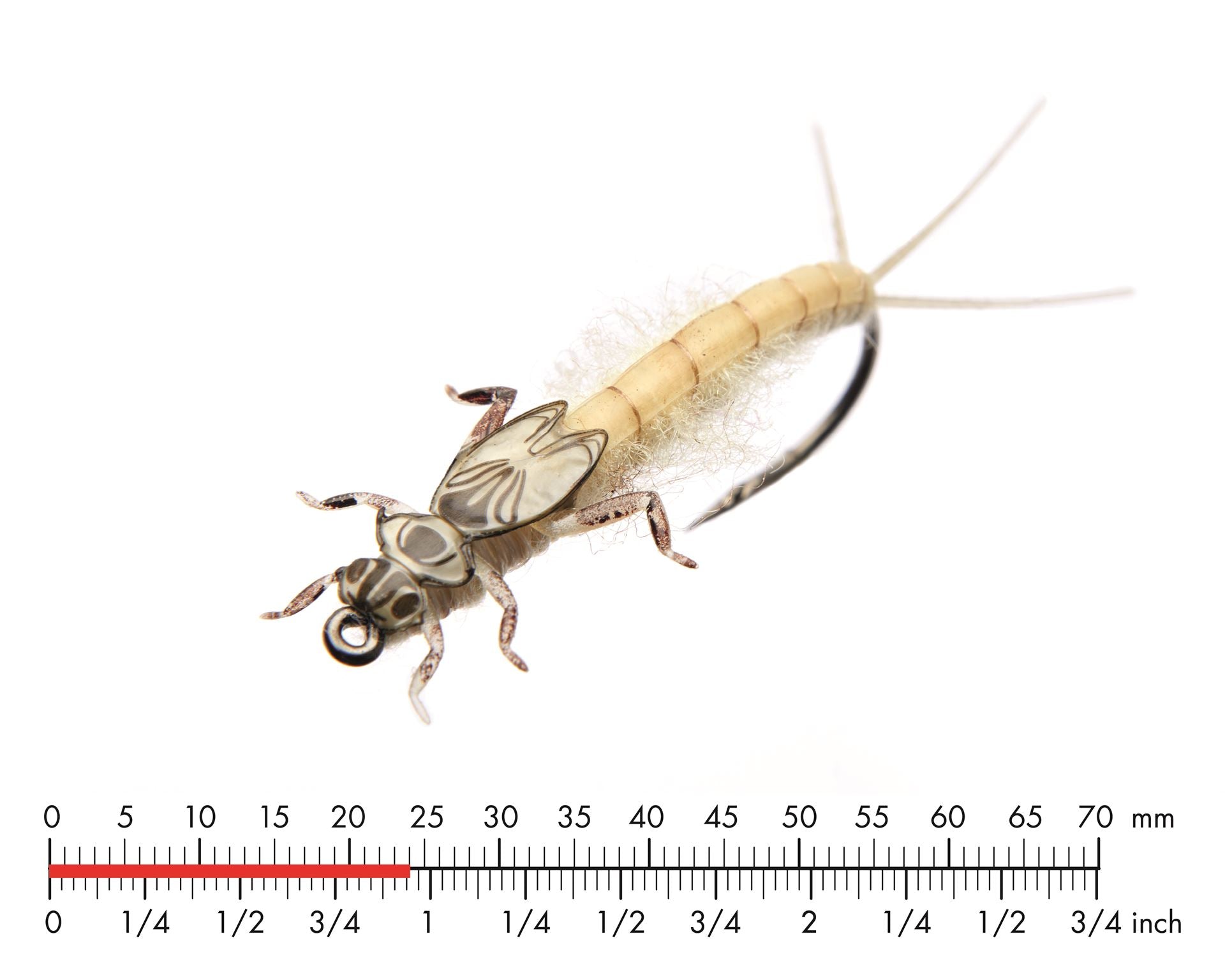 Dagslända Nymf 2 Light Olive