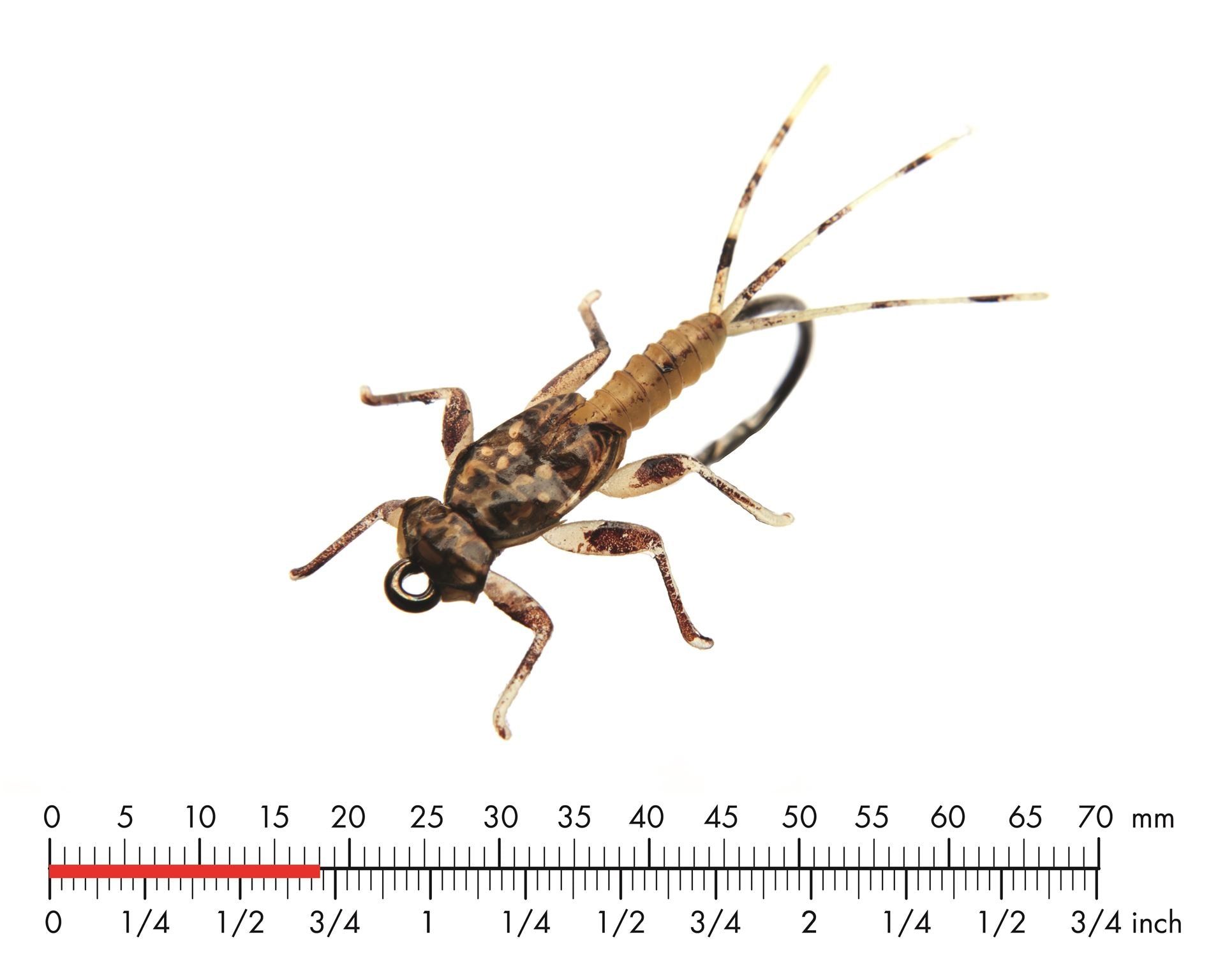 Dagslända Nymf 3 Olive Brown