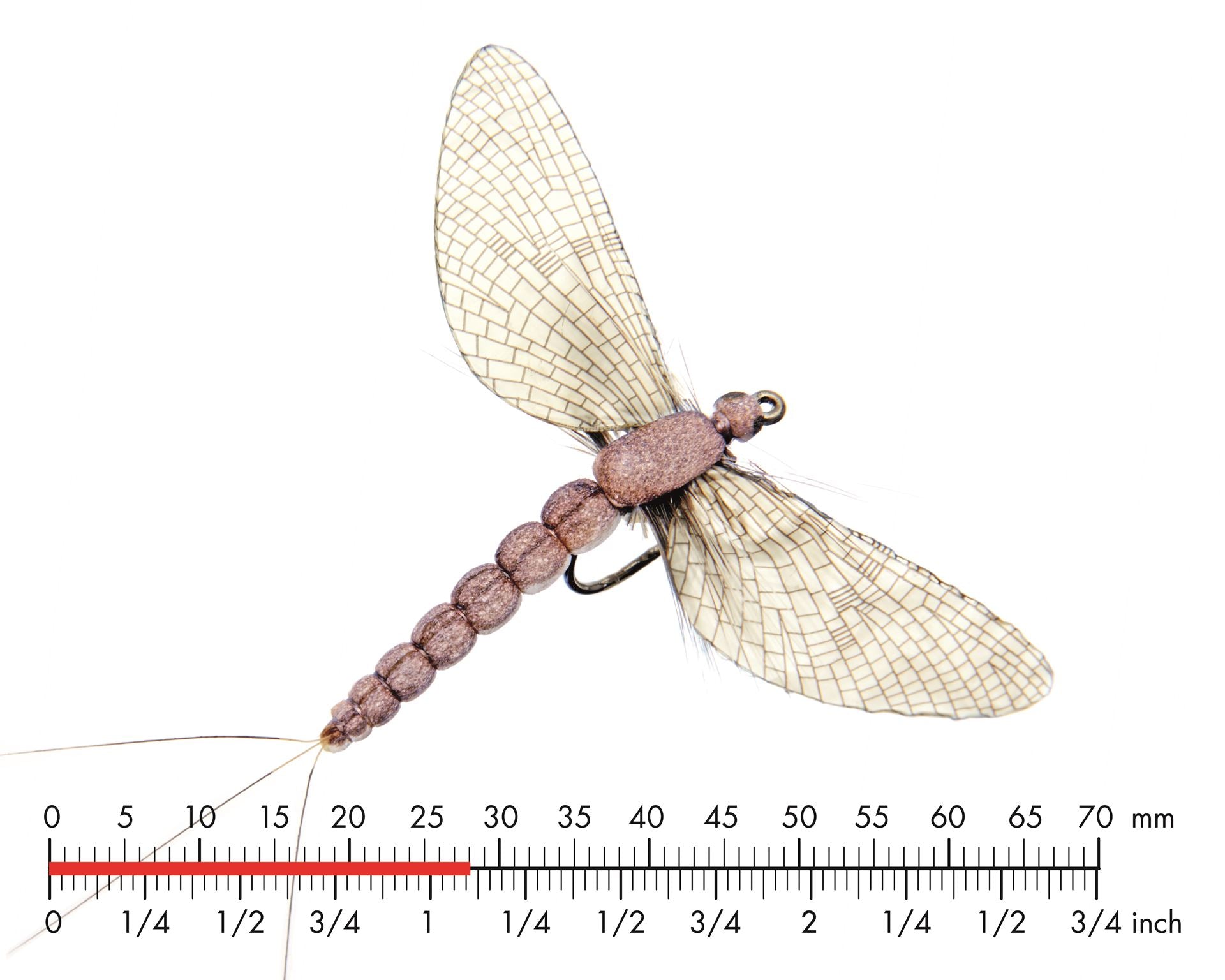 Dagslända Spent 1 Vanilla Cream