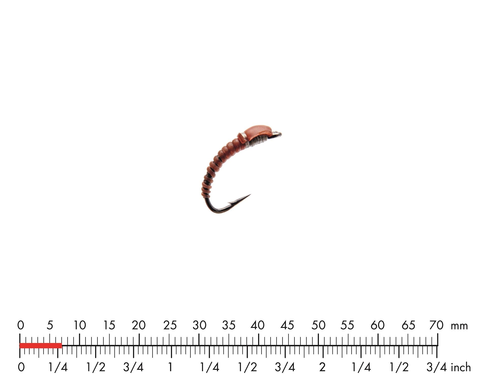 Fjädermygga Larv 5 Red