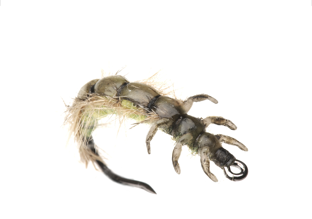 Bind Nattslända Larv (Storlek 1)