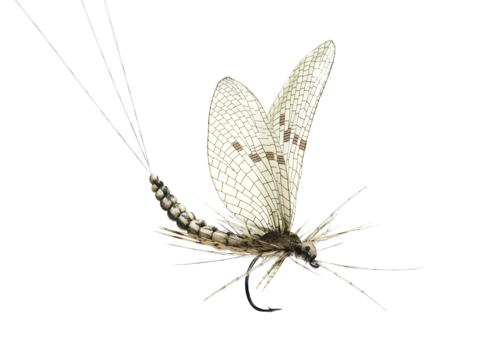 Bind Dagslända Dun (Storlek 2)