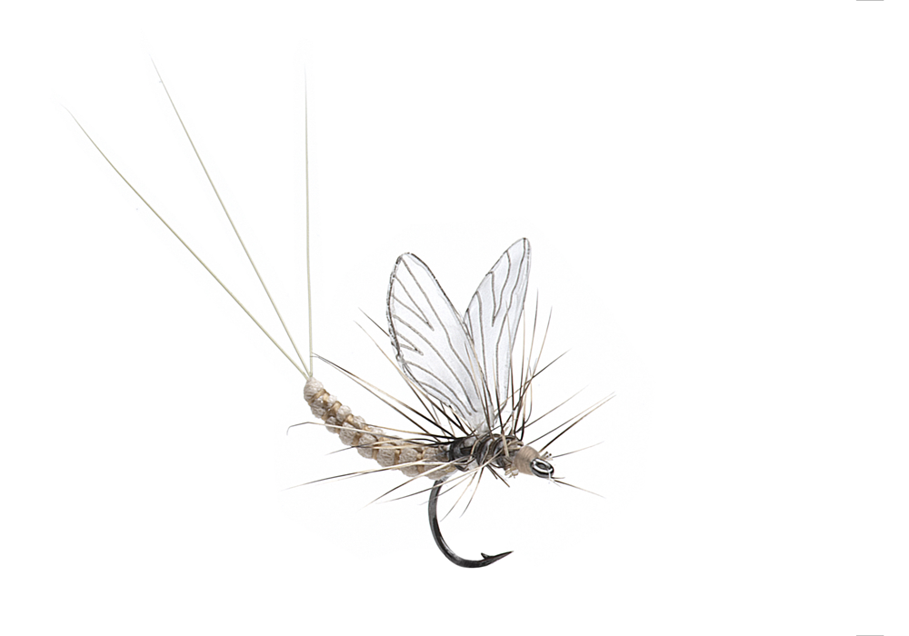 Bind Dagslända Dun (Storlek 4)