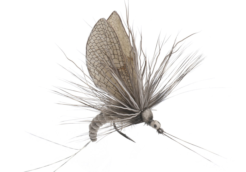 Bind Dagslända Kläckare (Storlek 1)