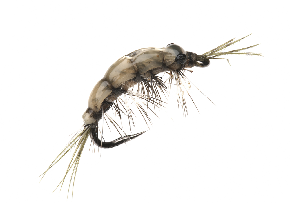 Bind Märla (Storlek 1)