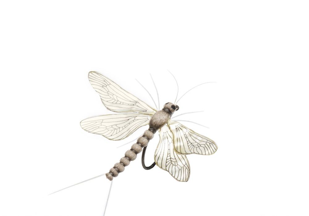 Bind Bäckslända Spent (Storlek 4)