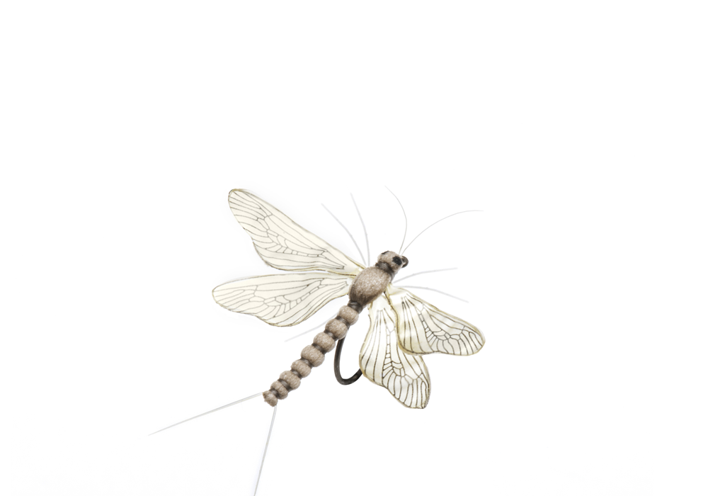 Bind Bäckslända Spent (Storlek 5)