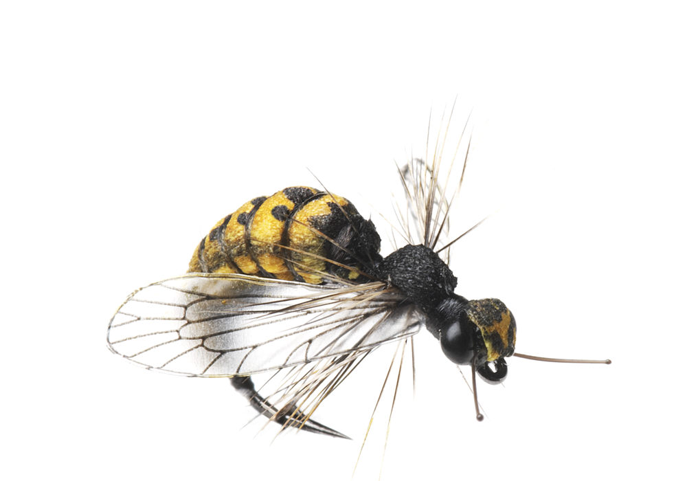 Bind Geting (Storlek 2)