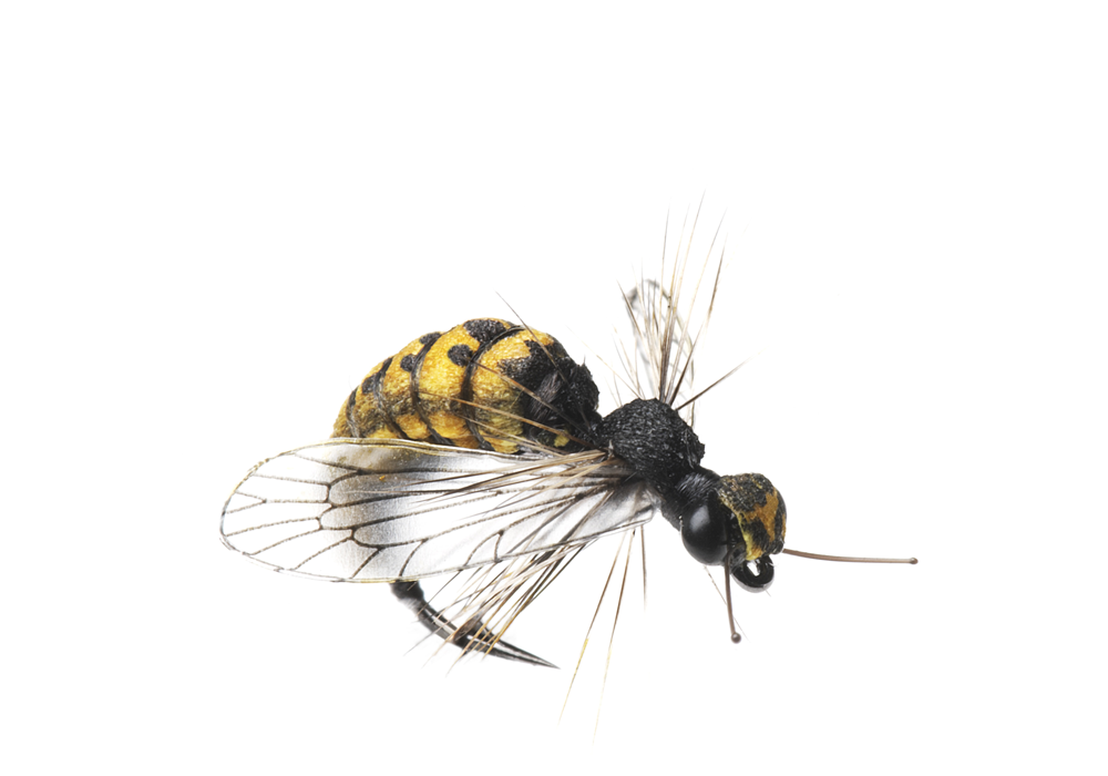 Bind Geting (Storlek 3)