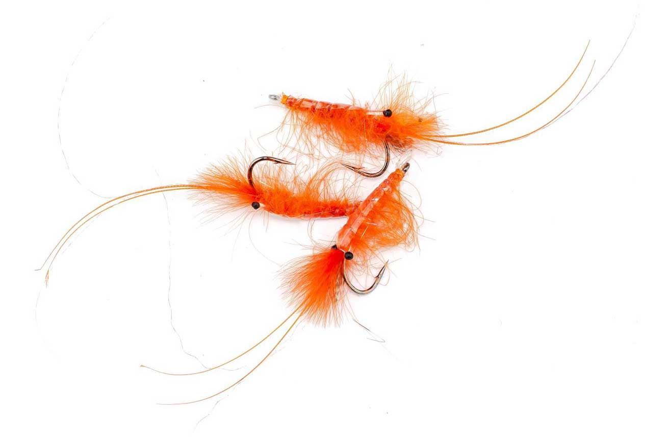 CDC Shrimp Orange