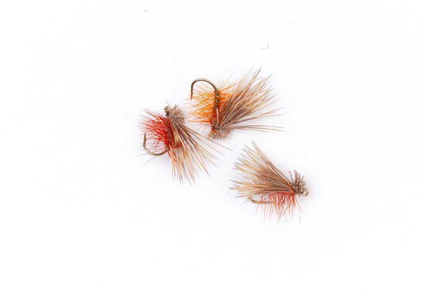 Elkhair Caddis Nature #12