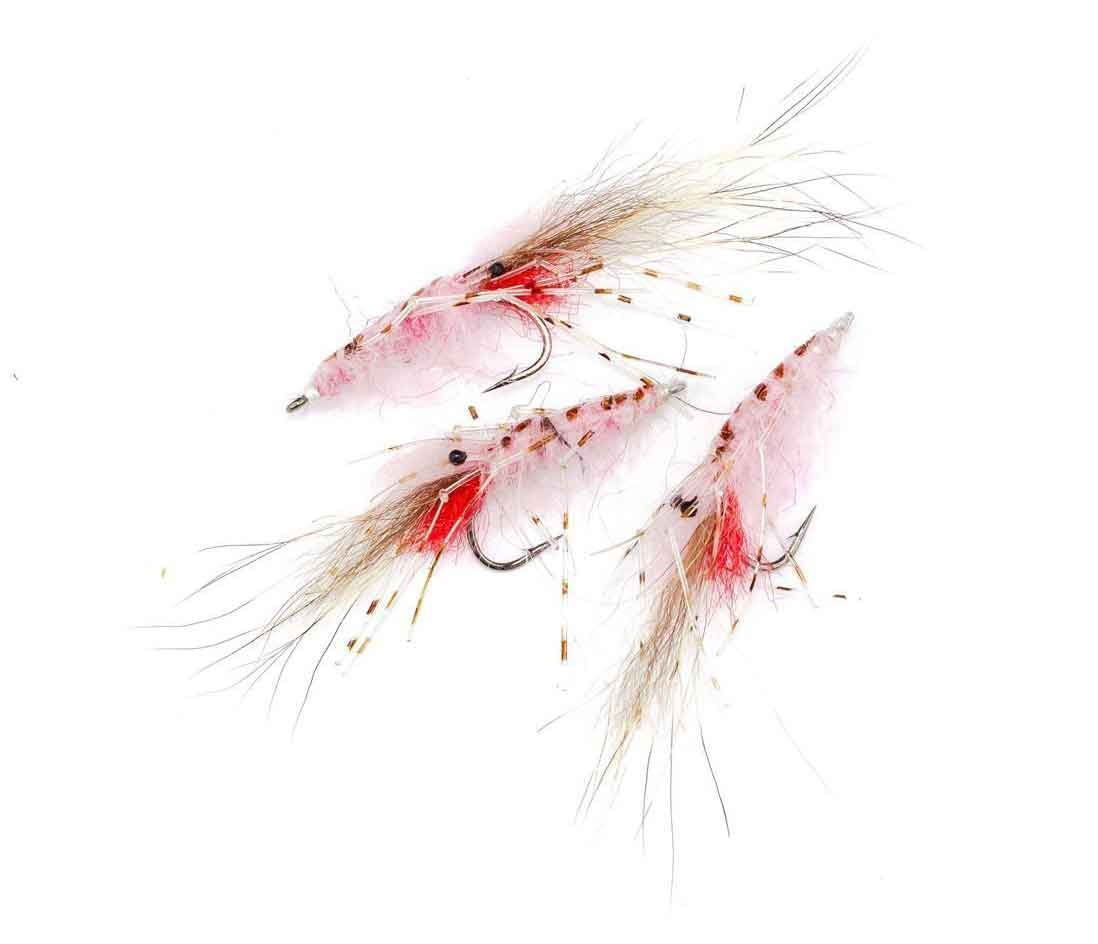Leo Shrimp Pink #6