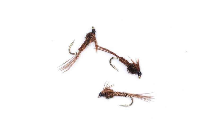 Pheasant Tail #10