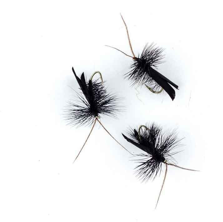 Sedge Black #12