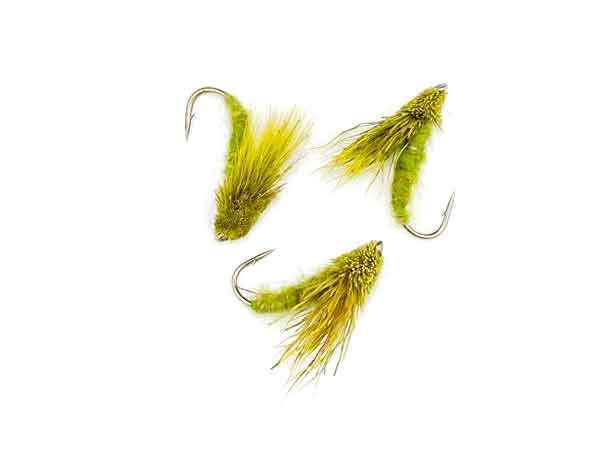 Streaking Caddis Olive #12