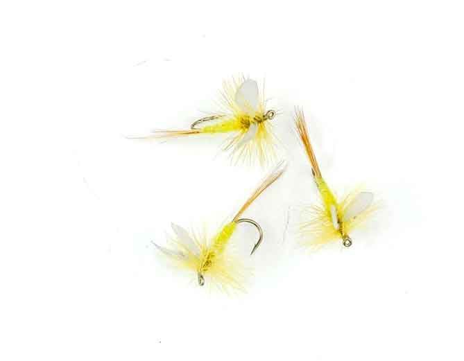 Yellow Cream Dun #14