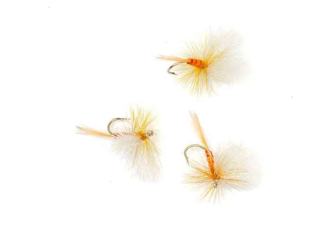 Yellow Dragonflies #12