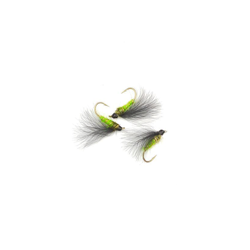 F-Fly Green #16