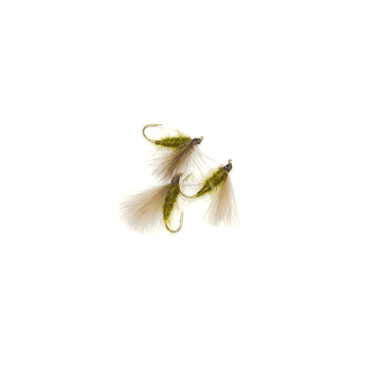 F-Fly Olive #16