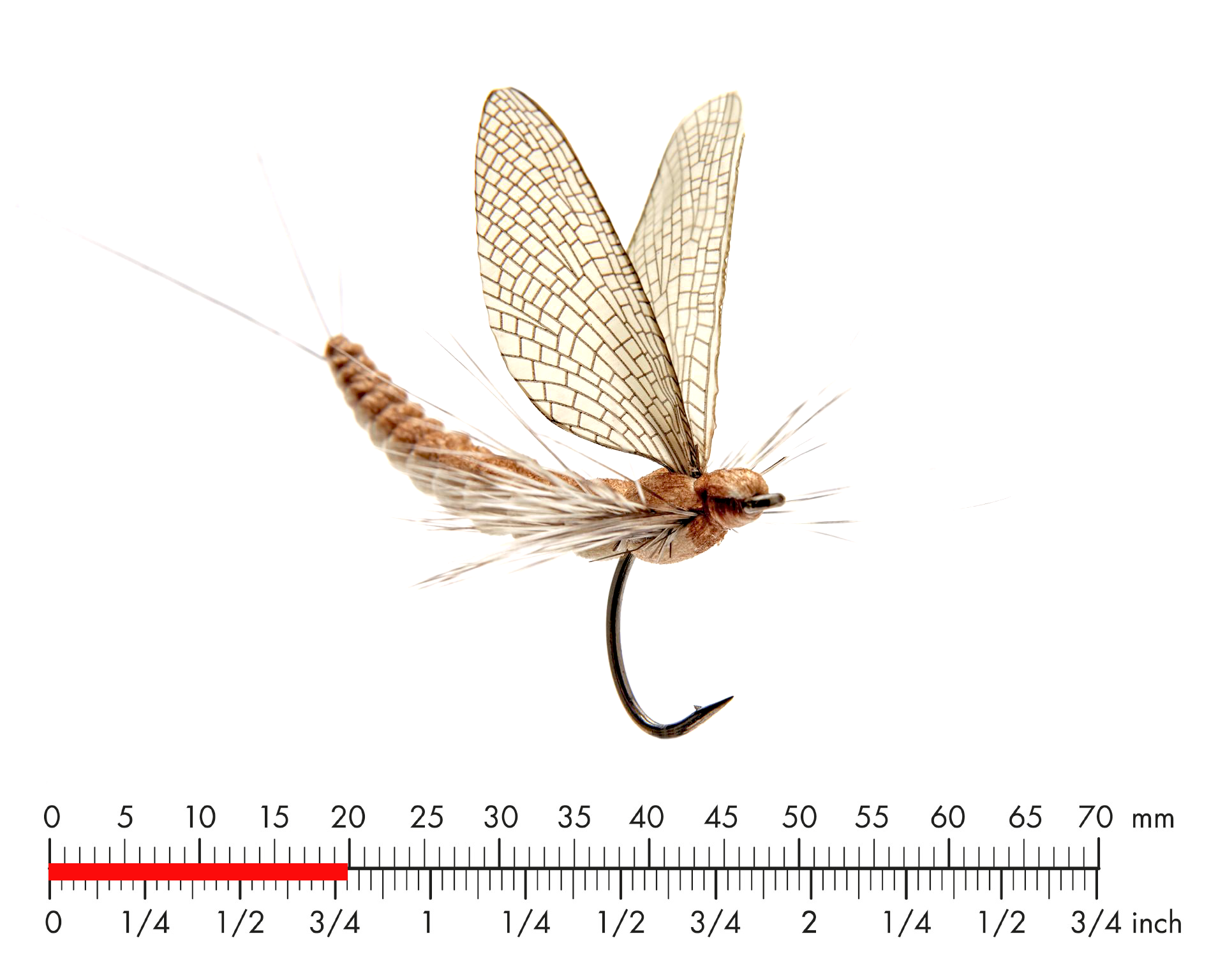 Realistic Red Quill Mayfly