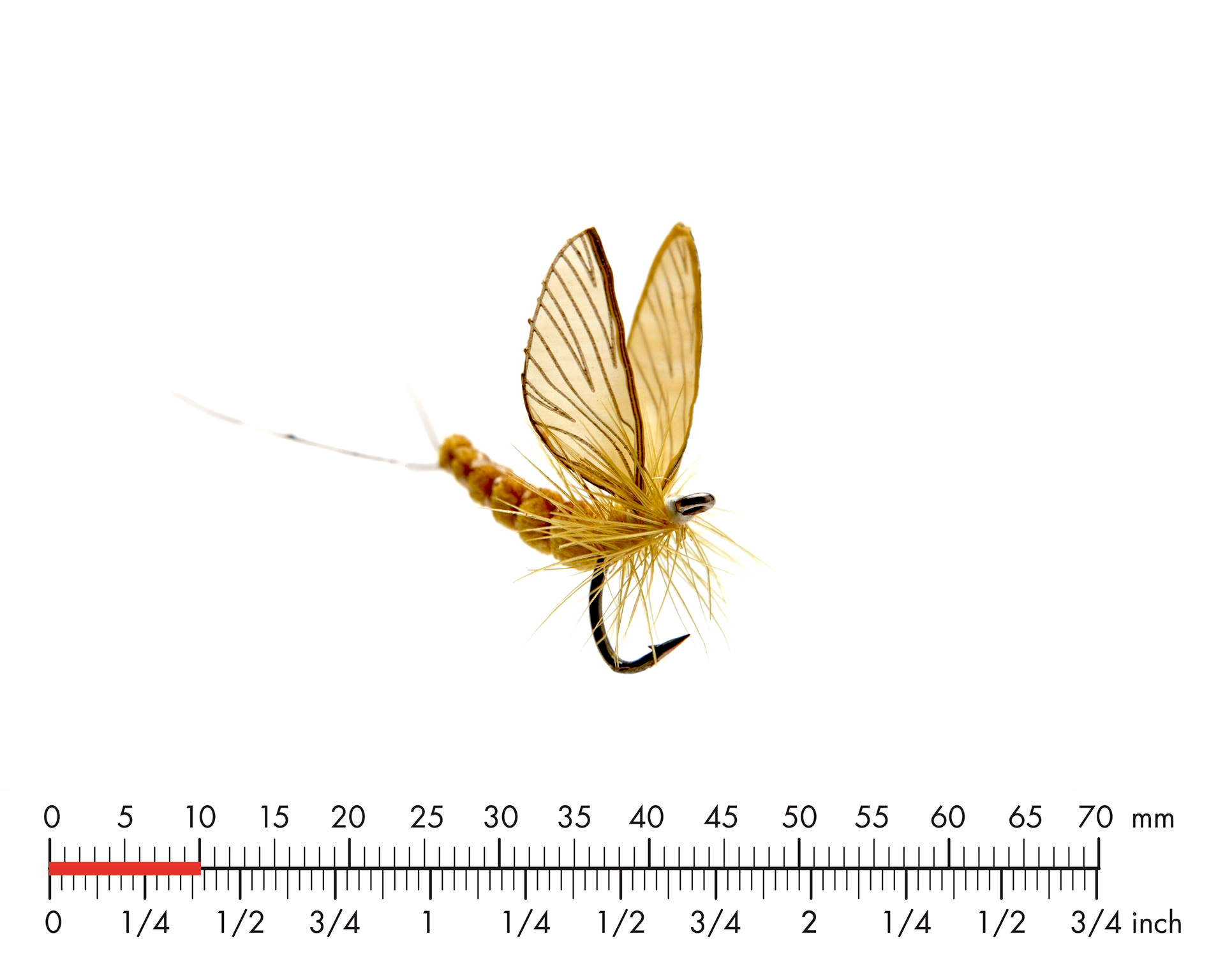Dagslända Dun 4 Sulphur