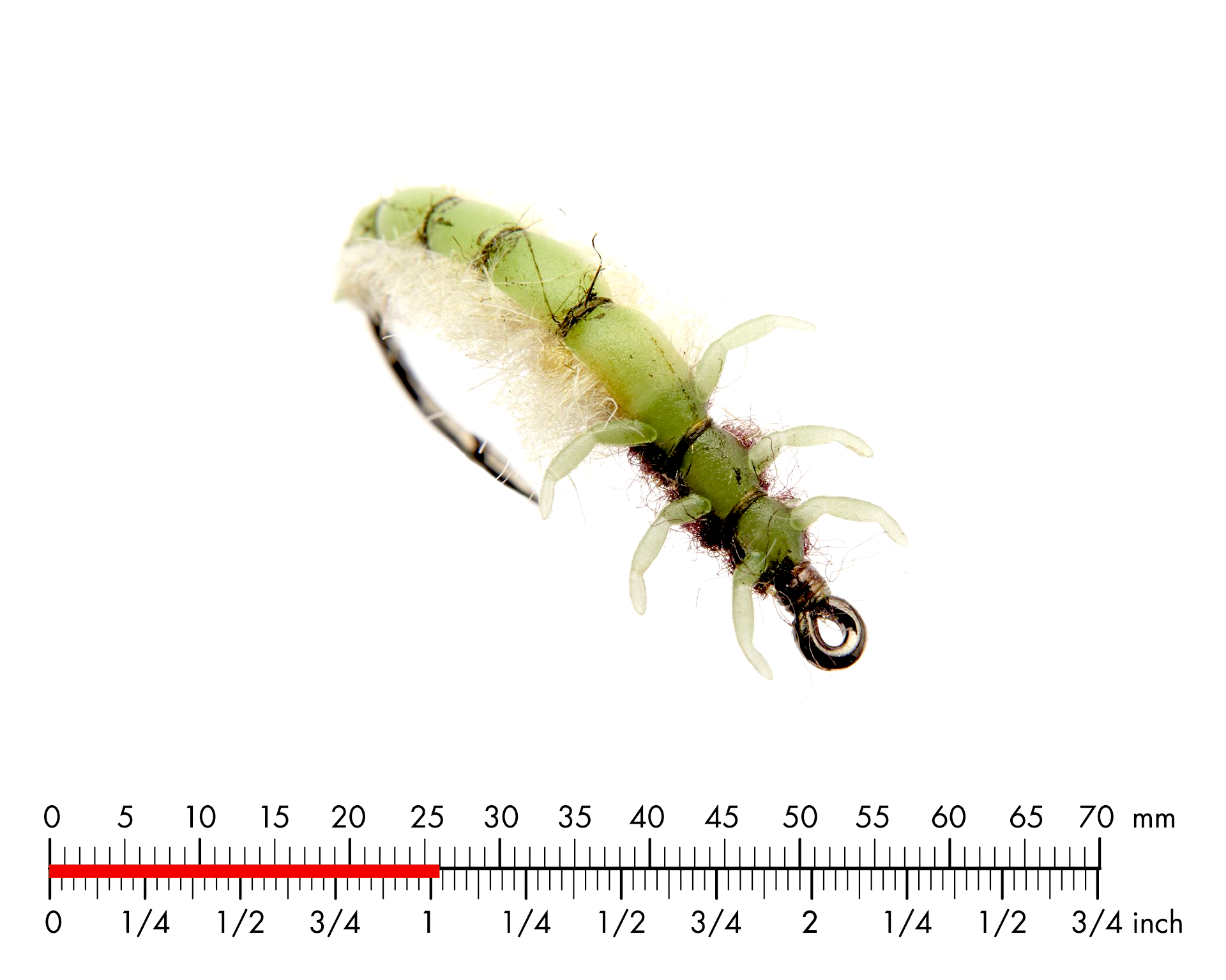 Nattslända Larv 1 Green