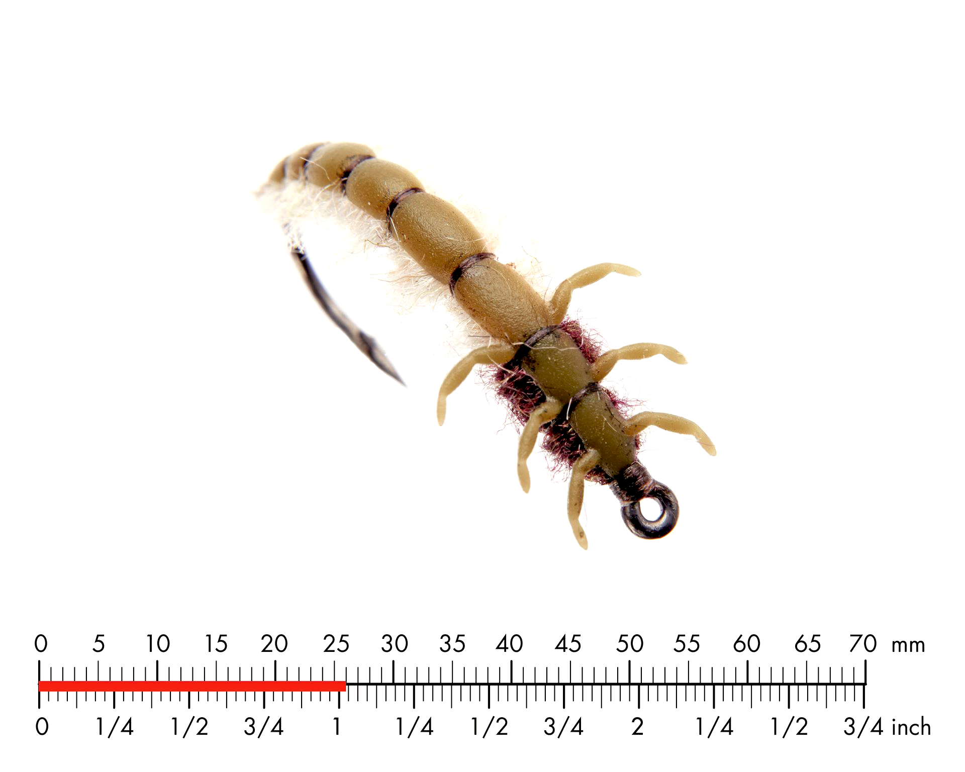 Nattslända Larv 1 Olive Brown