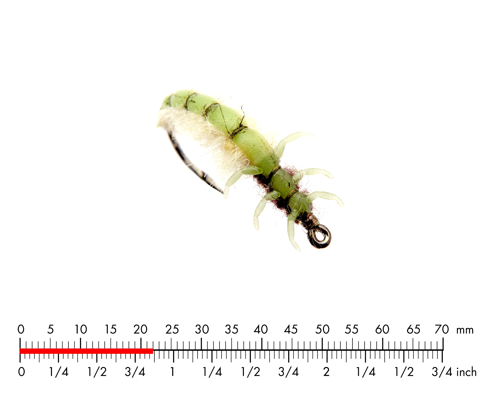 Nattslända Larv 2 Green