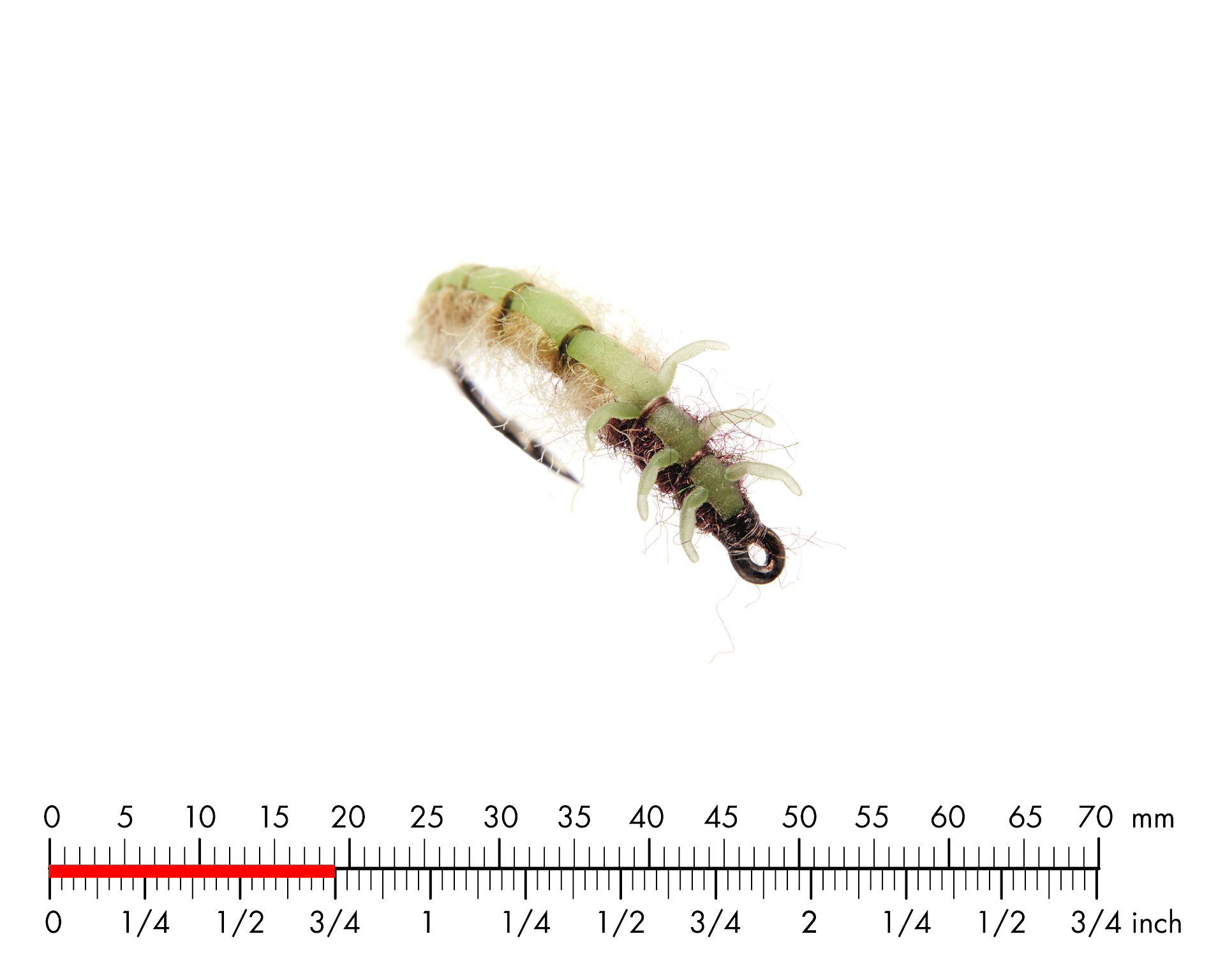 Nattslända Larv 3 Green