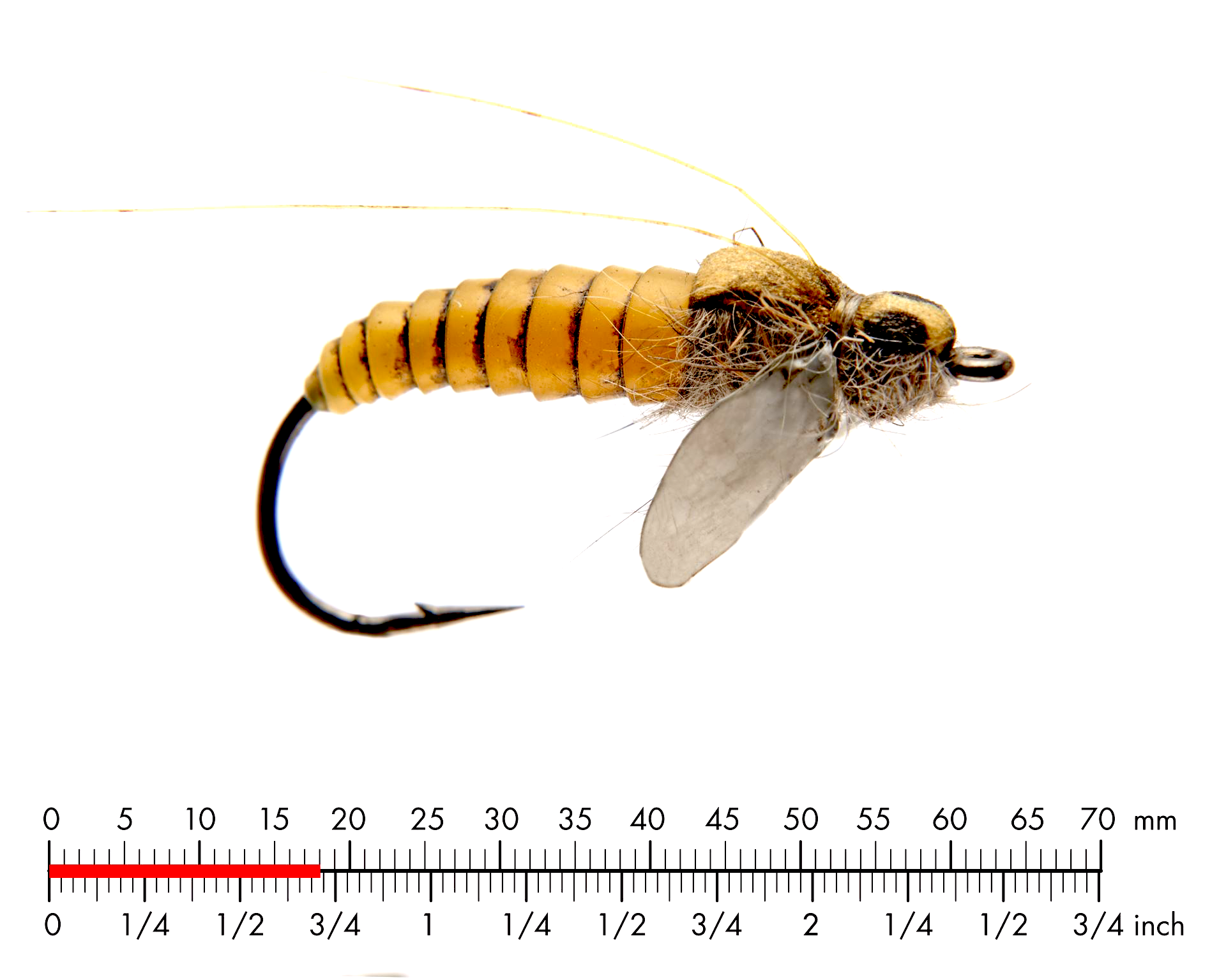 Nattslända Puppa 1 Yellow