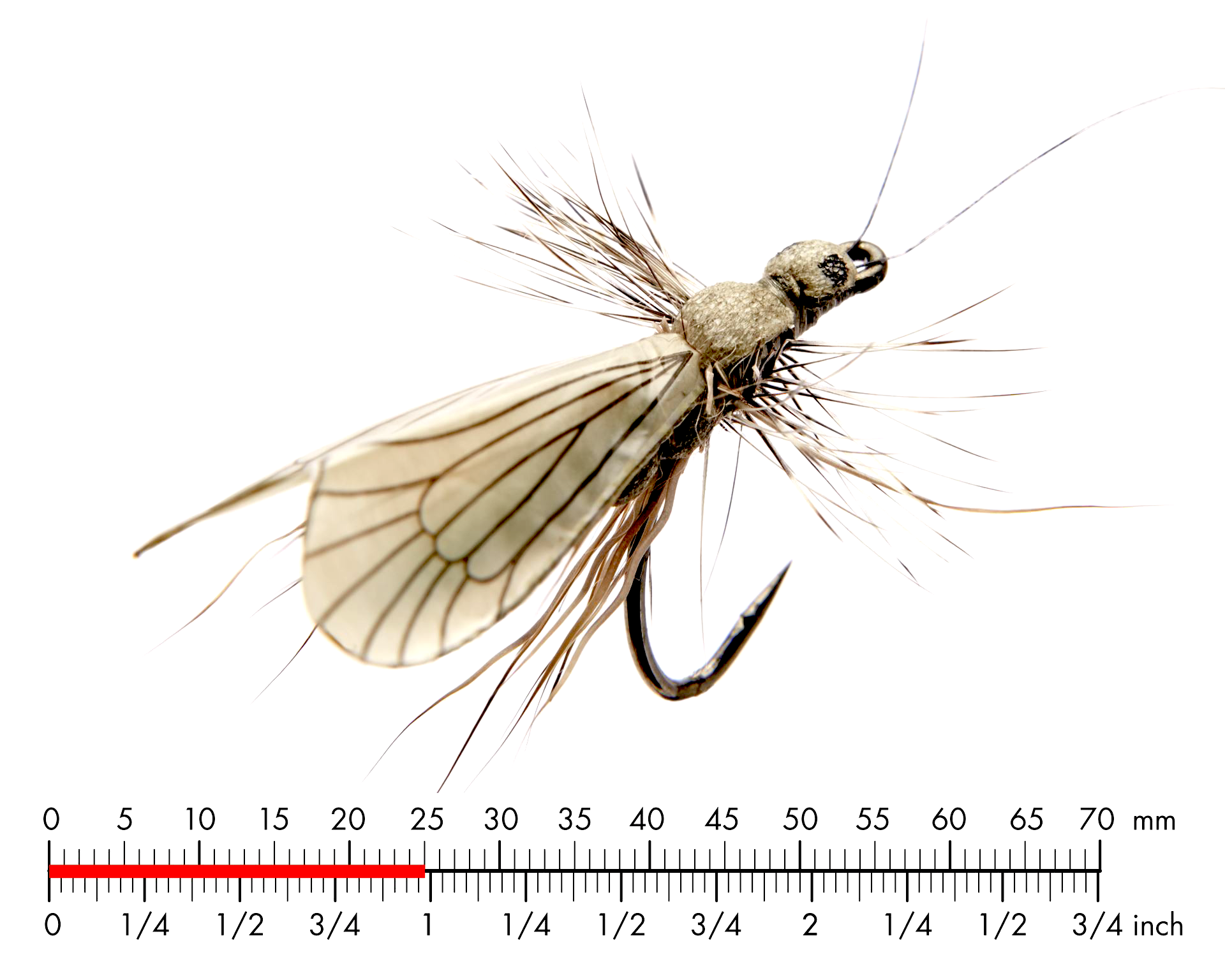 Nattslända Vuxen 1 Ash Grey