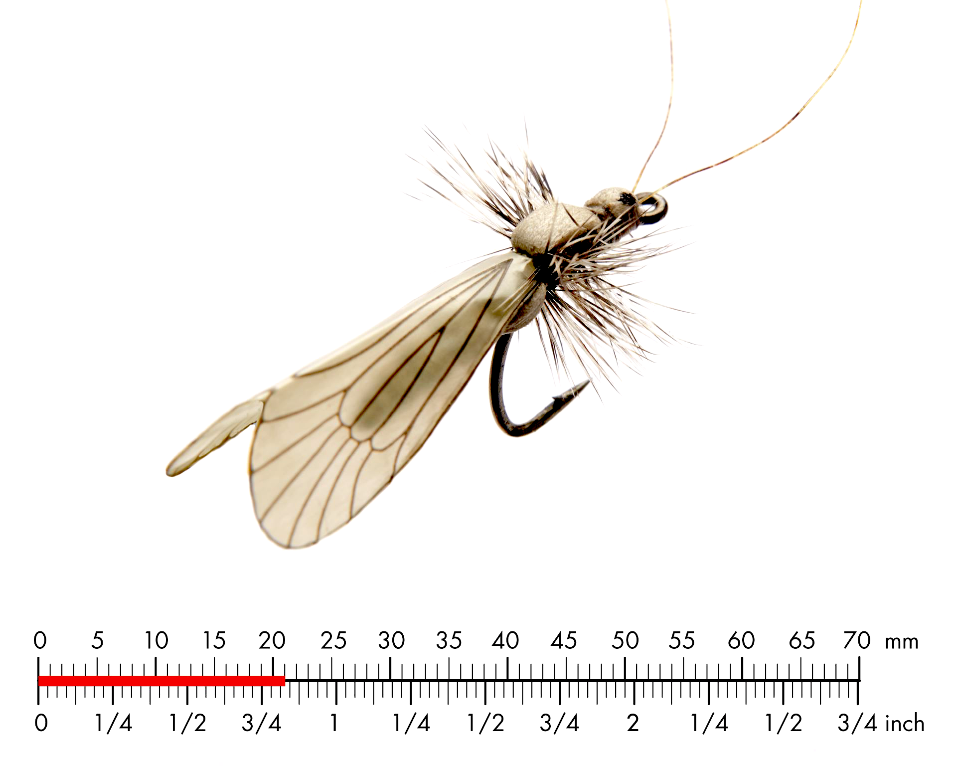 Nattslända Vuxen 2 Ash Grey