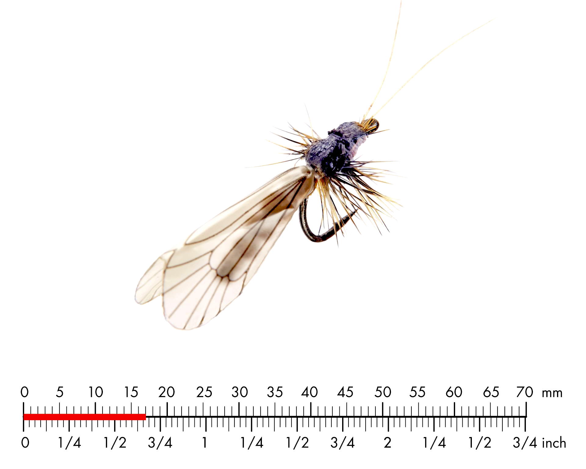 Nattslända Vuxen 3 Ash Grey / Pumpkin Orange