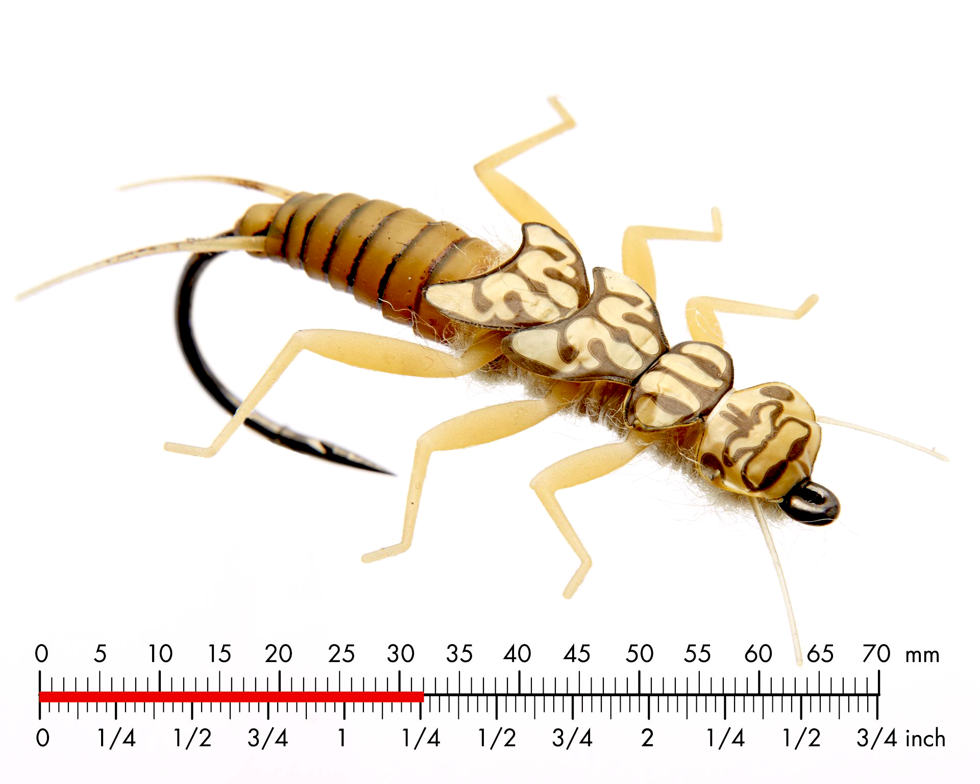 Bäckslända Nymf 1 Gold