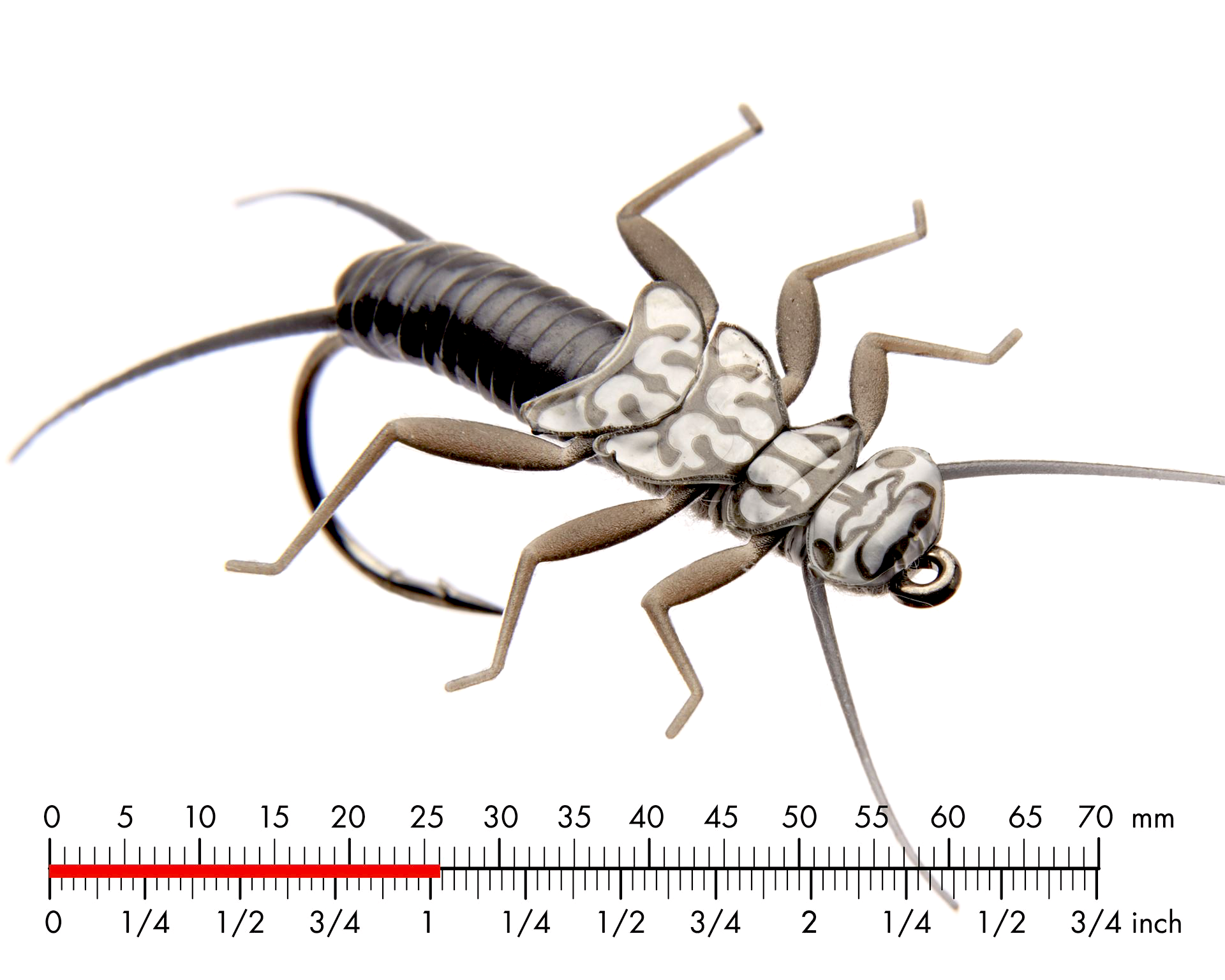 Bäckslända Nymf 2 Black