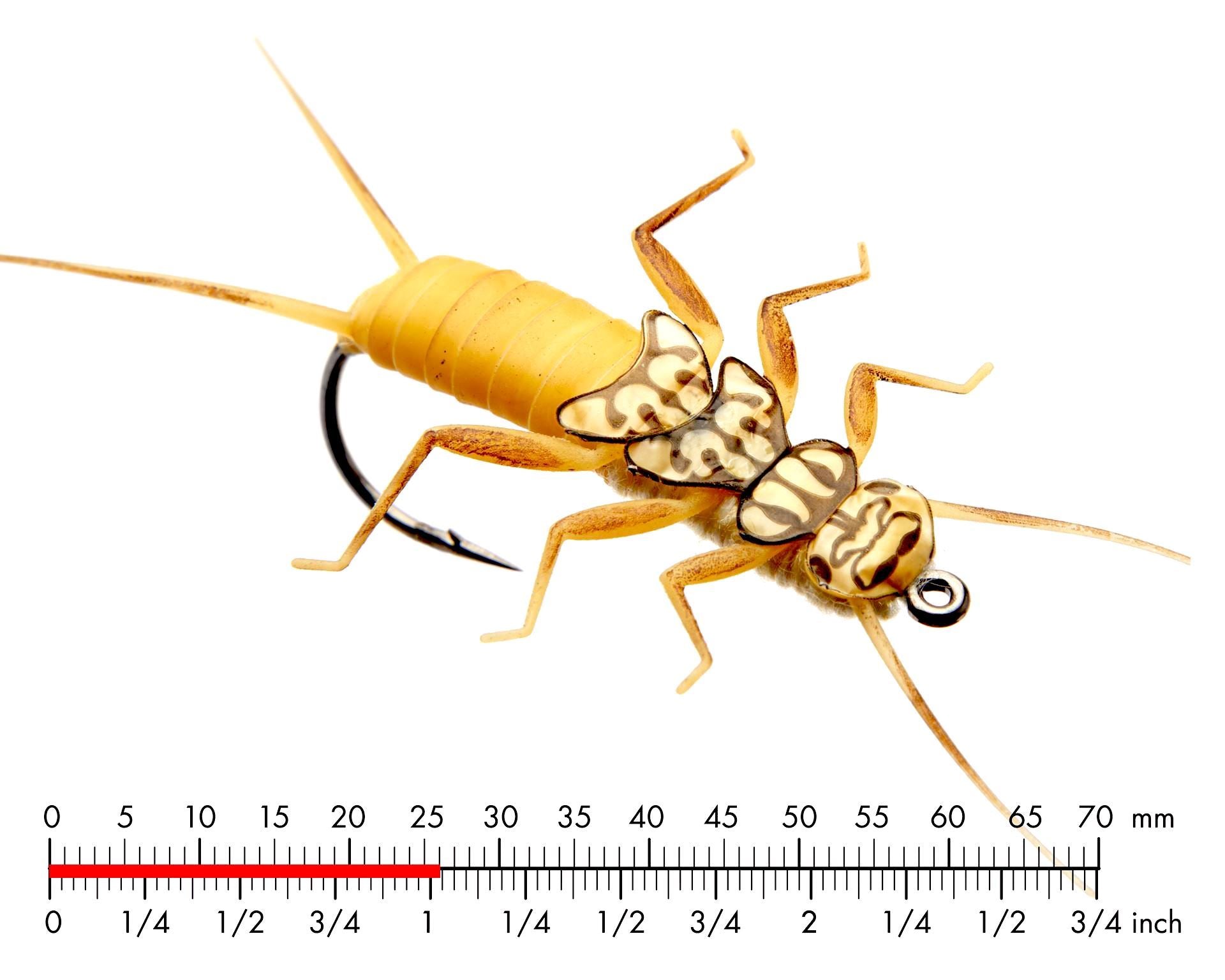 Bäckslända Nymf 2 Gold
