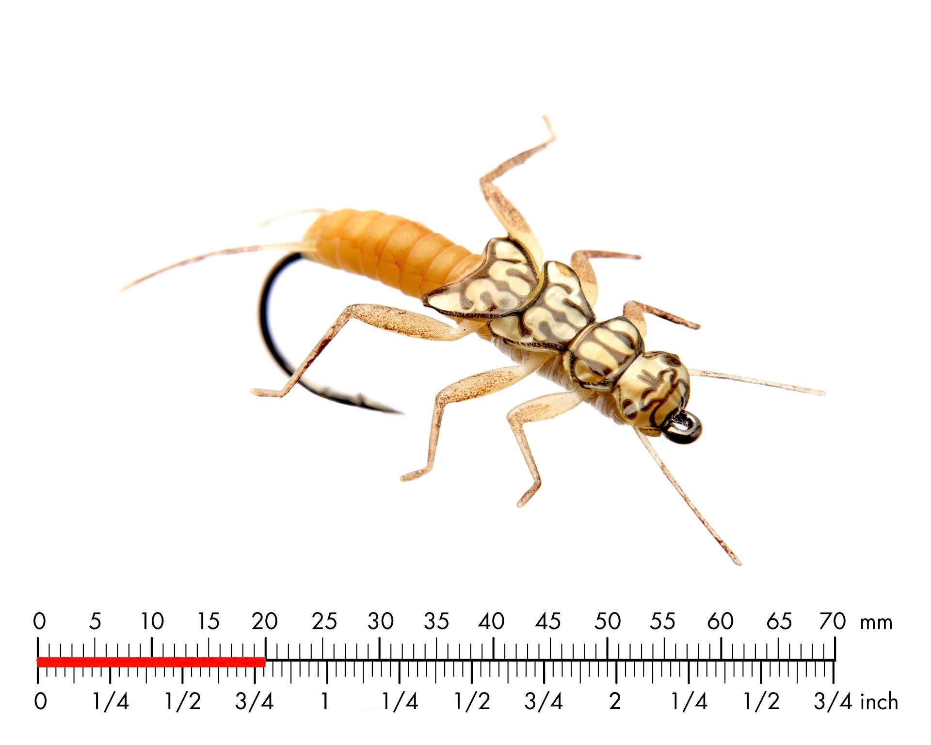 Bäckslända Nymf 3 Gold